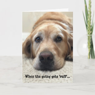 Carte amoureux des chiens Get Well Card