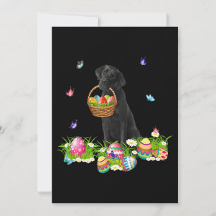 Carte Amoureux des chiens Lapin Chien Labrador noir &