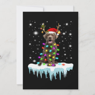 Carte Amoureux des chiens Lumière de Noël du Labrador