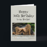 Carte Amusant 30e anniversaire Brother mignon chien anim<br><div class="desc">Amusant 30ème anniversaire 30 Frère mignon Yorkshire Terrier Yorkie Chien Animal</div>