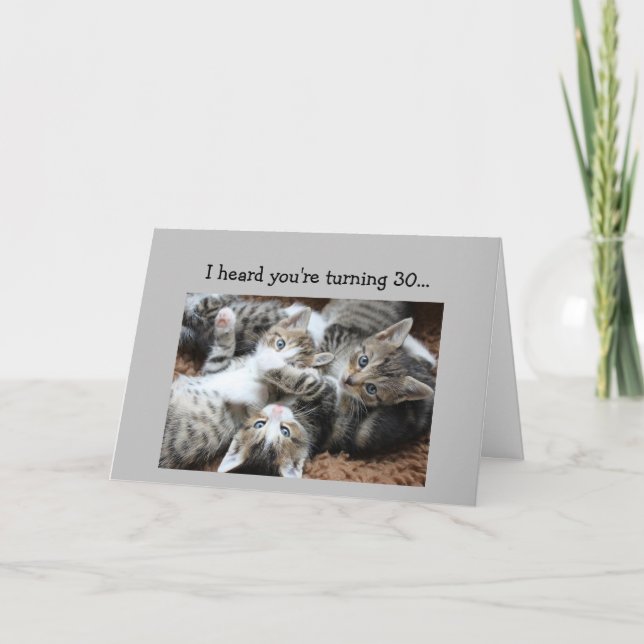 Carte Amusant 30e anniversaire Kitten Chat Humour animal (Devant)