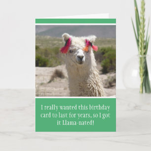 Carte Amusant Alpaca Llama Anniversaire