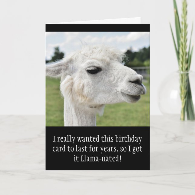 Carte Amusant Alpaca Llama Anniversaire (Devant)
