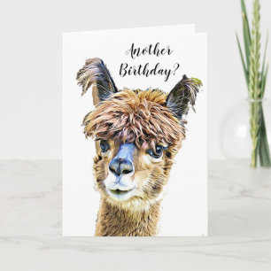 Carte Amusant Alpaca Llama Humour Anniversaire