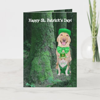 Carte Amusant Animaux de compagnie St Patrick