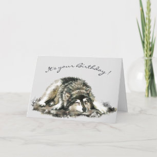 Carte Amusant Anniversaire Fatigué Napping Husky Dog Car