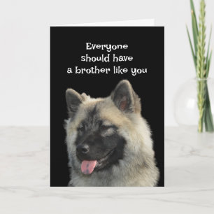 Carte Amusant Anniversaire Frère Chien Humour animal chi