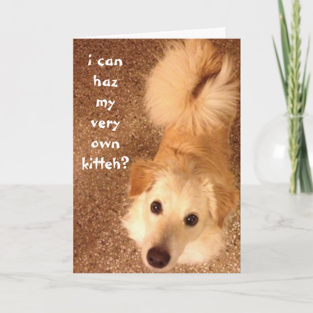 Carte Amusant Anniversaire, mignon chien souhaite pour l (Devant)