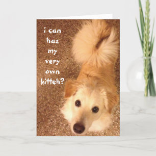 Carte Amusant Anniversaire, mignon chien souhaite pour l