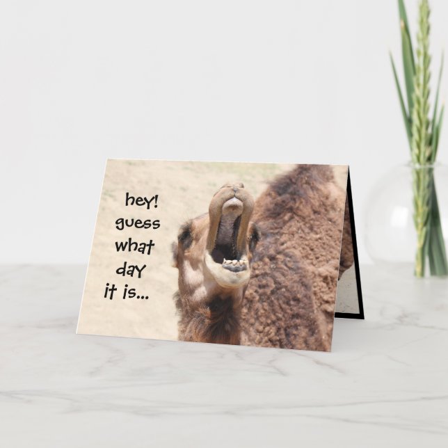 Carte Amusant Camel Hump Day Anniversaire Card 2 (Devant)