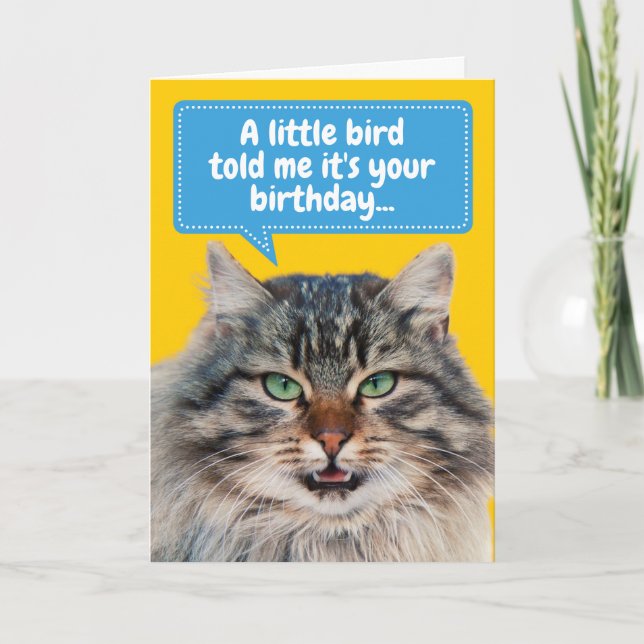 Carte Amusant Cat Ate Bird Salutation d'anniversaire (Devant)