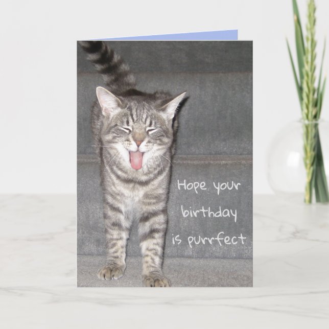 Carte Amusant chat Yawning Anniversaire (Devant)