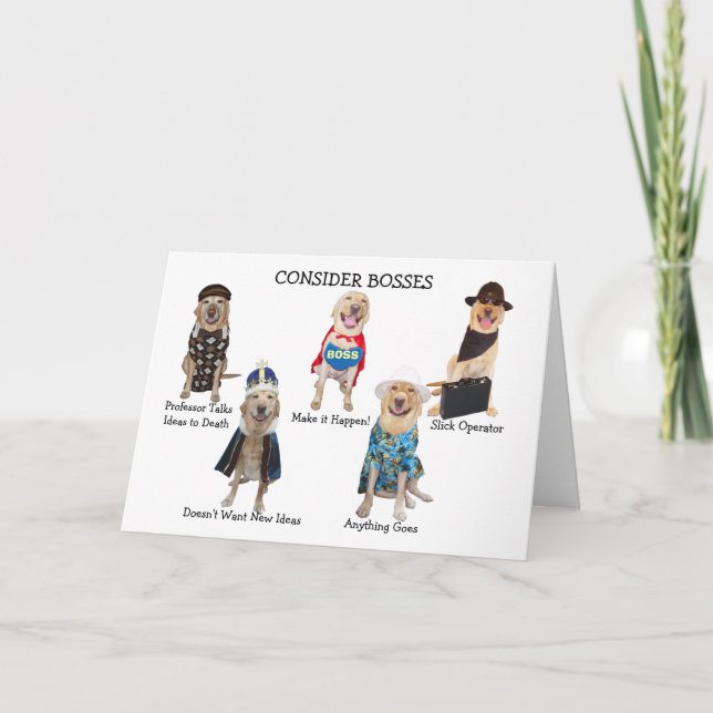 Carte Amusant chien / chef de laboratoire Anniversaire (Devant)