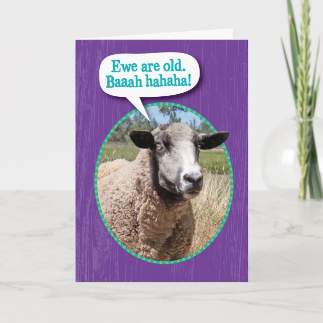 Carte Amusant Ewe Vieux mouton prise Anniversaire (Devant)