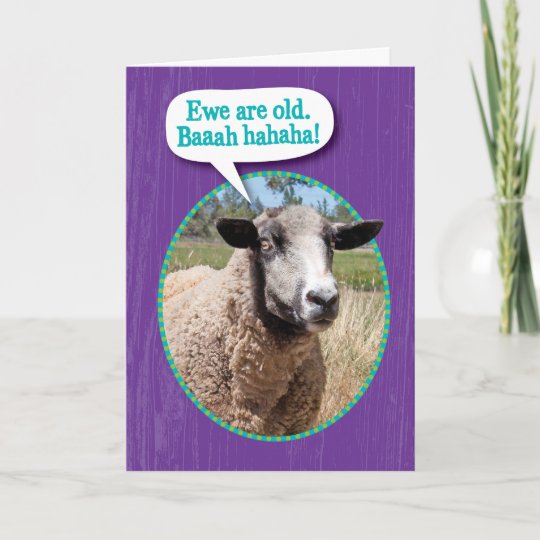 Carte Amusant Ewe Vieux Mouton Prise Anniversaire Zazzle Fr