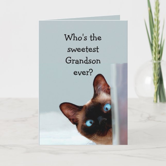 Carte Amusant Grandson Anniversaire Souhaite Chat Siames (Devant)