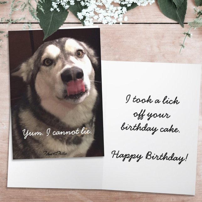 Carte Amusant Joyeux anniversaire Alaskan Malamute Chien (Créateur téléchargé)