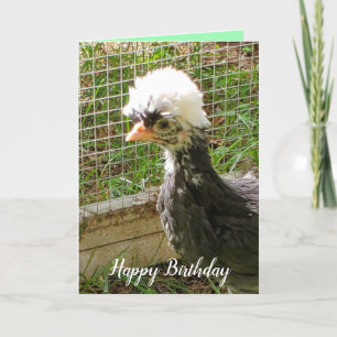 Carte Amusant Joyeux Anniversaire Polonais poulet