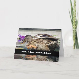 Carte Amusant Mallard Get Well Card