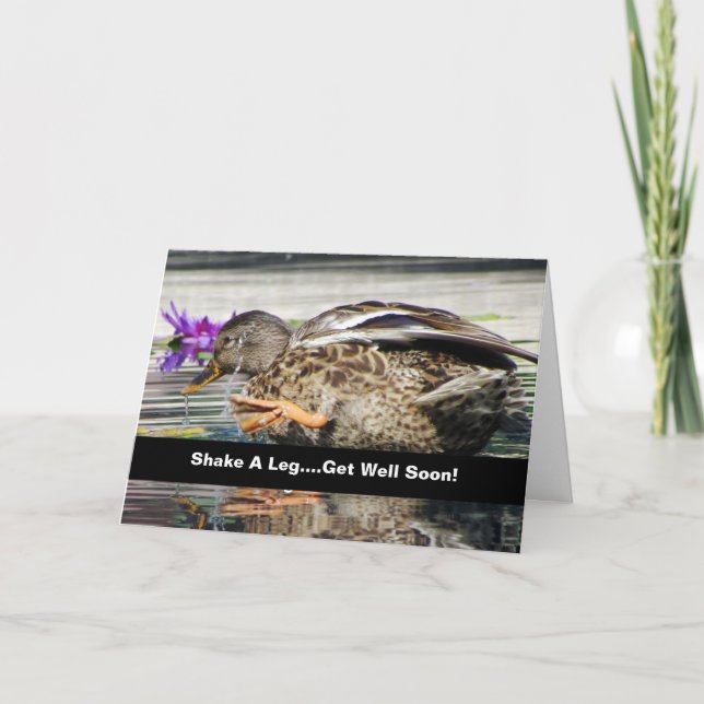 Carte Amusant Mallard Get Well Card (Devant)