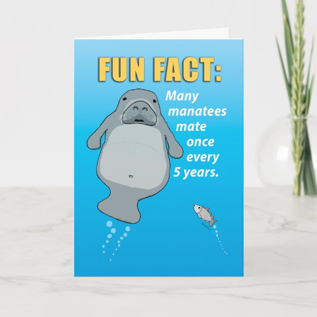 Carte Amusant Manatee Habitudes de réunion Anniversaire (Devant)