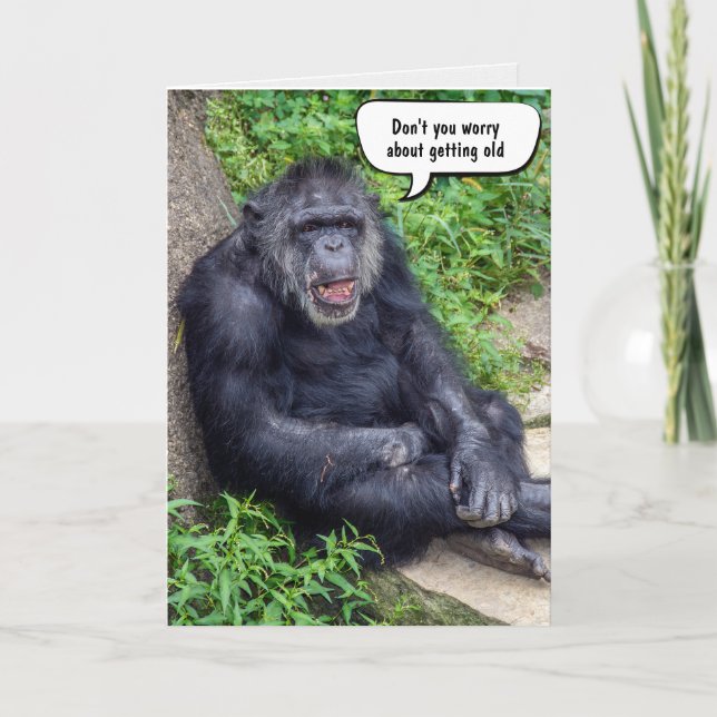 Carte Amusant Obtenir Anniversaire Chimpanzé (Devant)