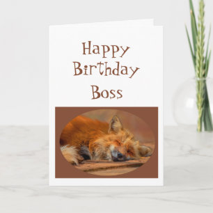 Carte Amusant "Pas de Fox Donné" Boss Anniversaire Humou