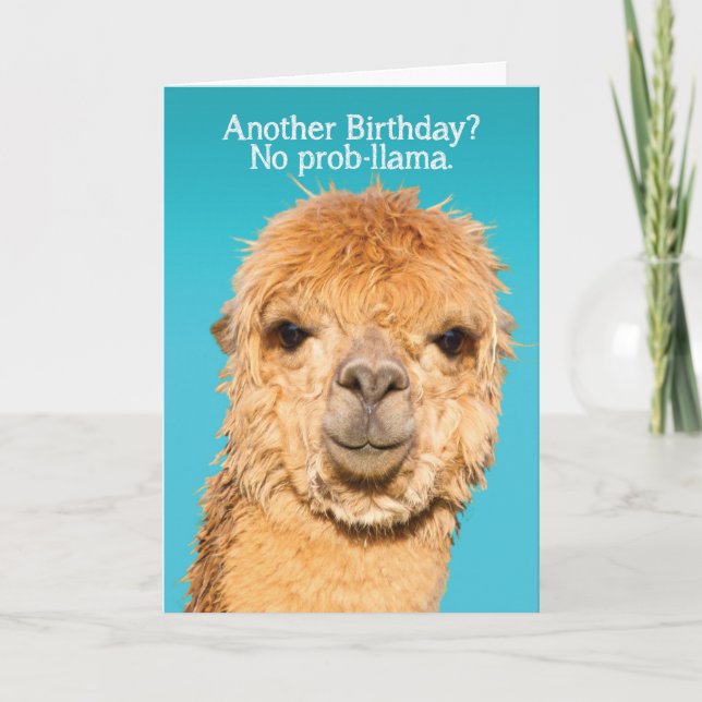 Carte Amusant Pas De Problème Llama Anniversaire Sagesse (Devant)