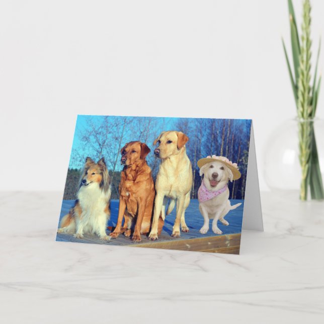 Carte Amusant Un de ces beaux-arts (Devant)