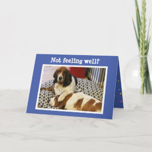 Carte amusante "Get Well" avec de mignons Hounds B