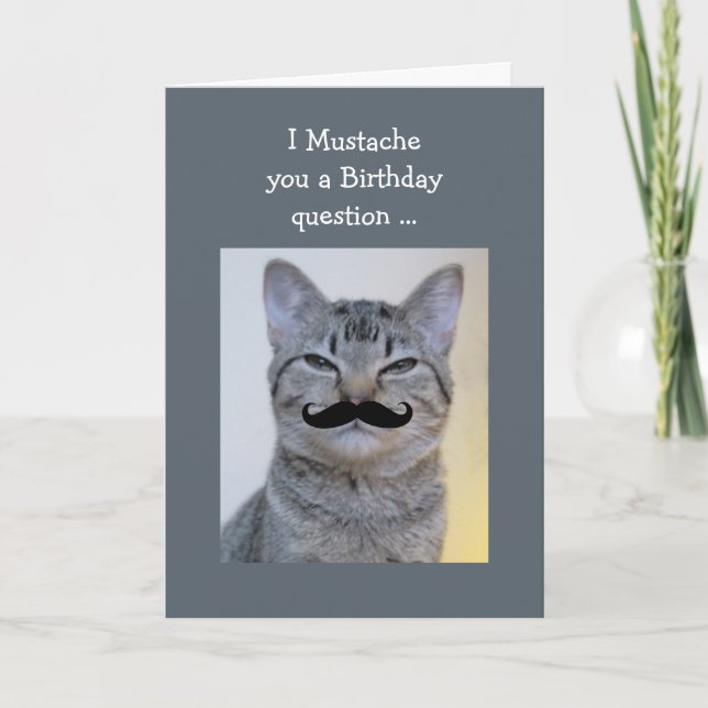 Carte Amusante question Moustache Anniversaire Chat (Devant)