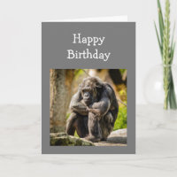 Amusants Anniversaire Jeune Jadis Déprimé Gorille 