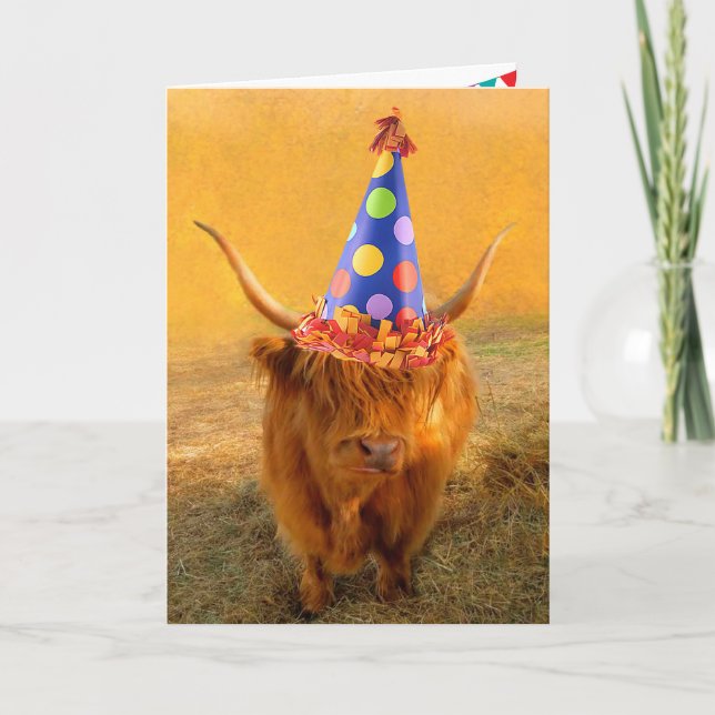 Carte Amusants Scottish Highland Steer Anniversaire (Devant)