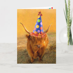 Carte Amusants Scottish Highland Steer Anniversaire