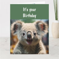 Amusement animalière humour koala koalité amusant