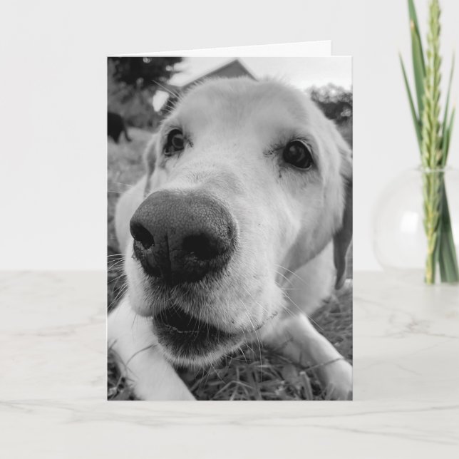 Carte amusez-vous et approchez-vous du vieux labo jaune  (Devant)