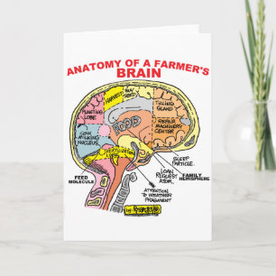CARTE ANATOMIE DU CERVEAU D'UN AGRICULTEUR