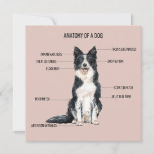 Carte Anatomie d'un chien
