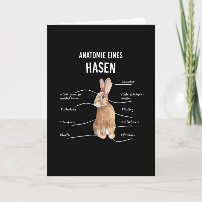 Carte Anatomie d'un lièvre Lapin Bunny Lapin (Devant)