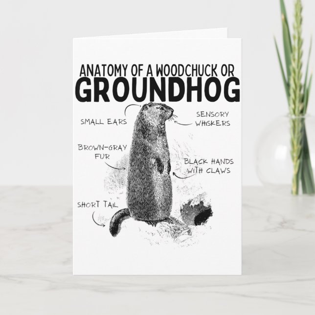 Carte Anatomie d'un marmotte ou d'un groundhog drôle d'a (Devant)