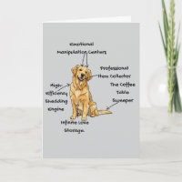 Anatomie personnalisée d'un Golden Retriever