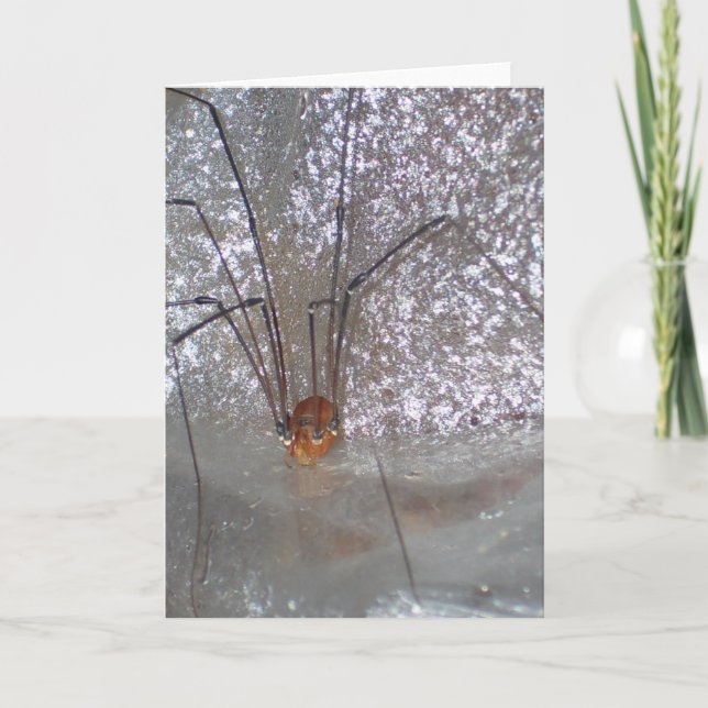 Carte Ancêtre Longlegs (Devant)