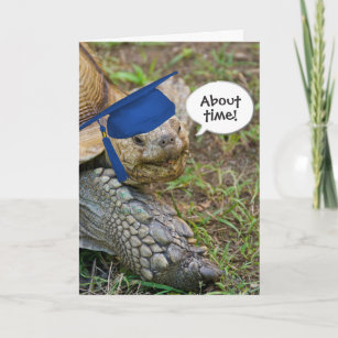 Carte Ancien diplômé de Tortoise avec Casquette bleu