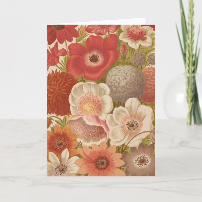 Carte Anémone | George Nicholson (Devant)