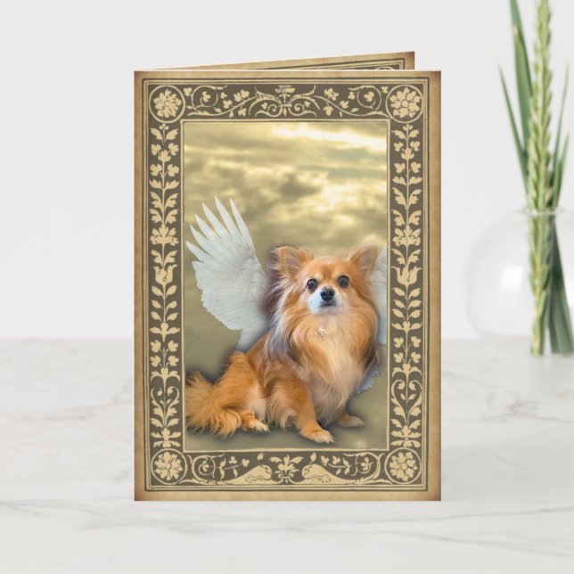 Carte Angel Longhair Chihuahua (Devant)