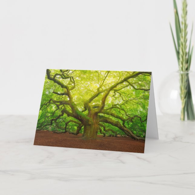 Carte Angel Oak (Devant)