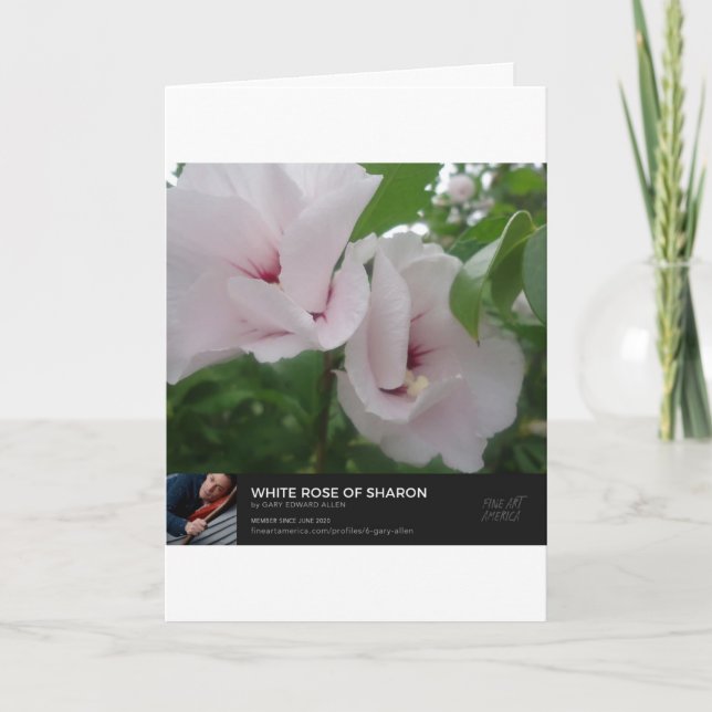 Carte Anges (Devant)