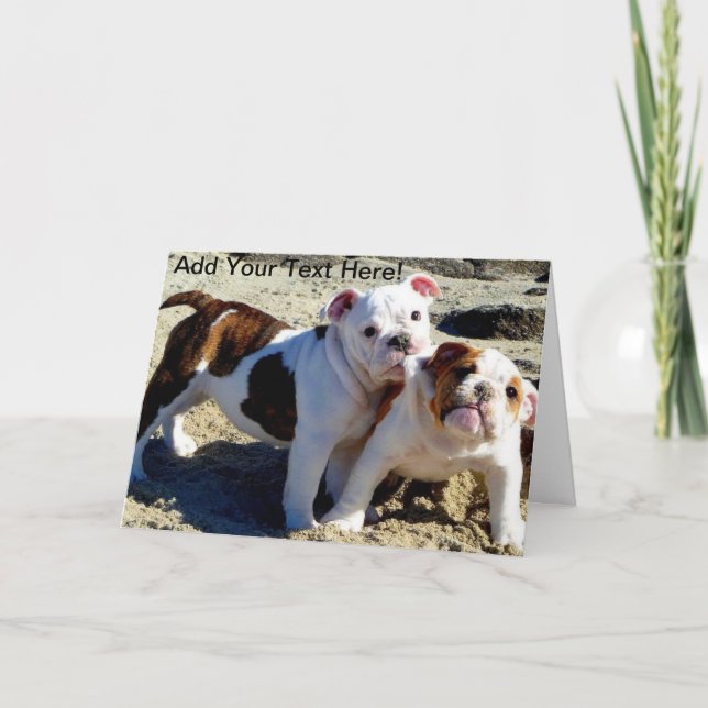Carte Anglais Bulldogs chiot amour! (Devant)