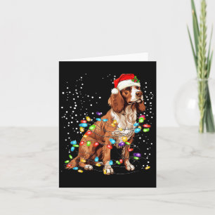Carte Anglais Springer Spaniel Chien Noël Lumières Noël