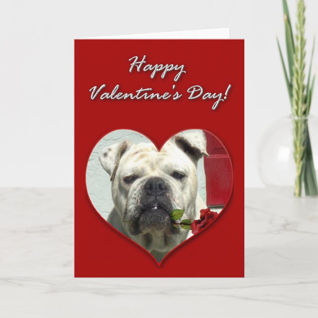 Carte anglaise de jour de Valentines de bouledogue (Devant)